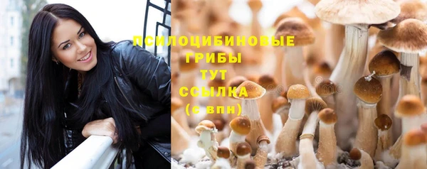 индика Абинск