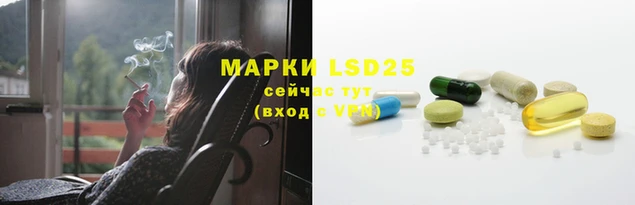 индика Абинск