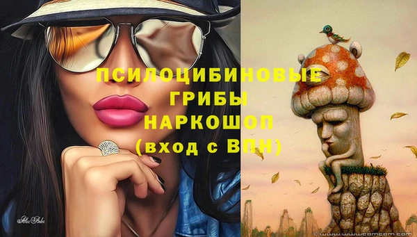индика Абинск